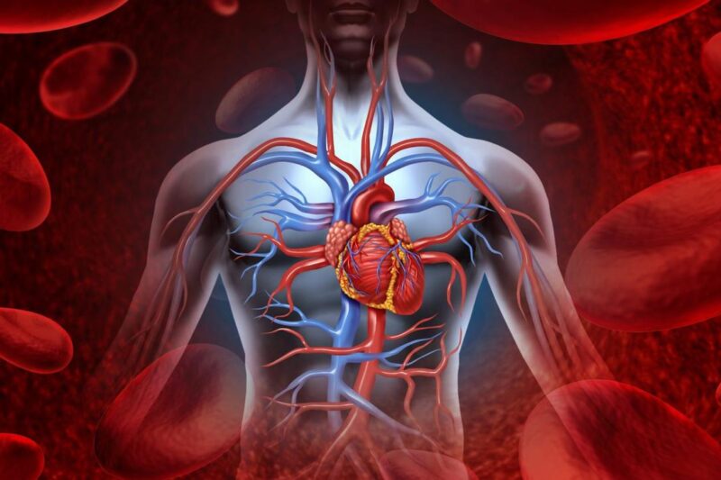 How Heart Disease is the Leading Cause of Death Worldwide